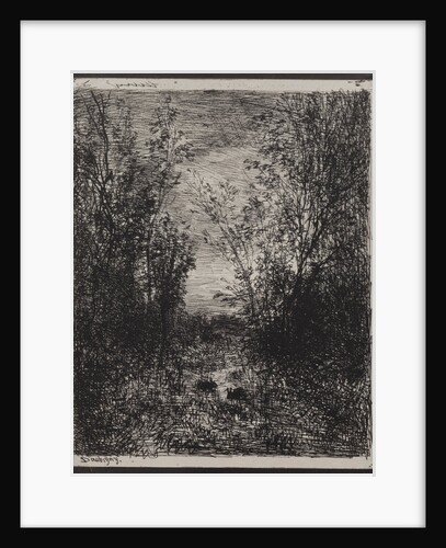 A Stream in a Glade, original impression 1862, printed in 1921 by Charles François Daubigny