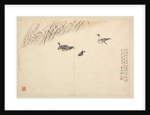 Album of Calligraphy and Paintings, 18th Century by Bian Shoumin