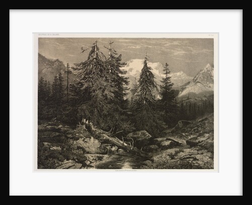 Alpine Stream by Alexandre Calame