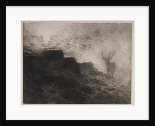 An Early Riser, 1897 by Francis Seymour Haden