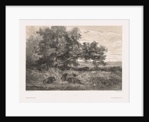 Animals and Landscape after Nature: Wild Boar in a Pond, c. 1850 by Karl Bodmer