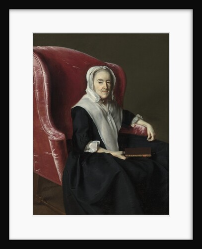 Anna Dummer Powell, 1764 by John Singleton Copley