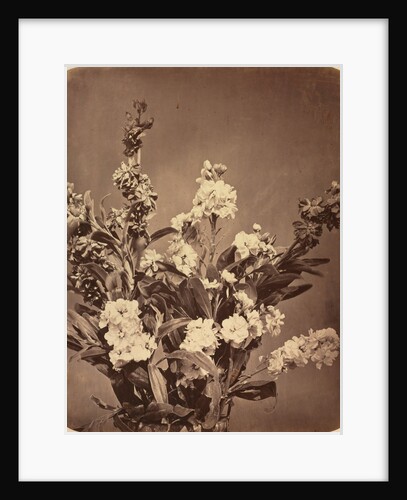 Bouquet, c. 1855 by Adolphe Braun