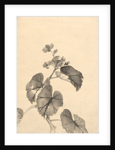 Branch of Begonia in Bloom by Kono Bairei