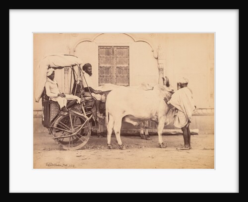 Bullock Cart, Delhi, 1863 by Shepherd & Robertson