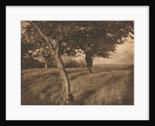 Camera Work: Beyond, 1905 by A. Horsley Hinton