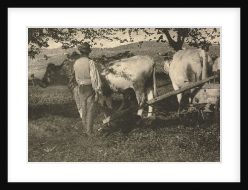 Camera Work: Ploughing Team, 1907 by Unknown