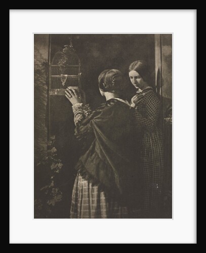 Camera Work: The Bird-Cage, 1909 by David Octavius Hill; Robert Adamson
