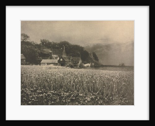 Camera Work: The Onion Field - 1890, 1890 by George Davison