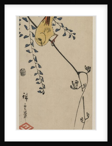 Canary and Wisteria, mid-1840s by Ando Hiroshige