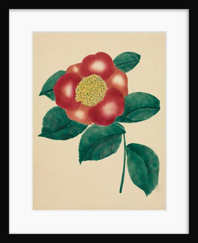 Chinese Flower by Mary Altha Nims