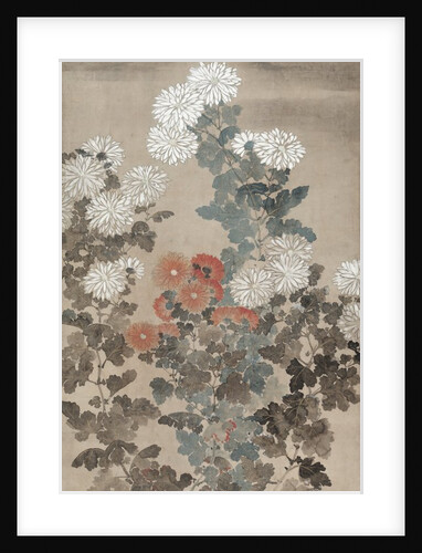 Chrysanthemums, mid 1600s by Kitagawa S?setsu