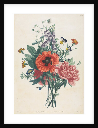 Collection of Flowers and Fruits Painted after Nature: Bouquet of Foxglove, Clematis…, 1805 by Louis Charles Ruotte; Jean Louis Prévost