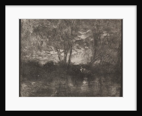 Cows at a Watering Place, original impression 1862, printed in 1921 by Charles François Daubigny