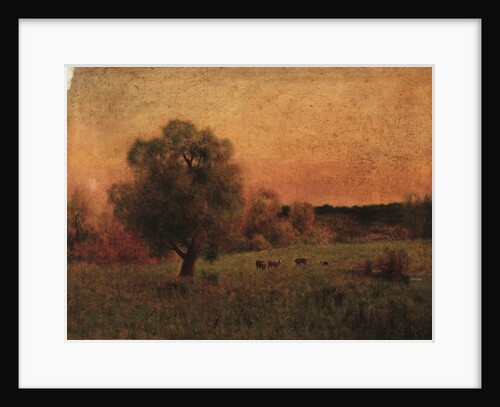 Cows in a Field, before 1956 by George Inness (imitator of)