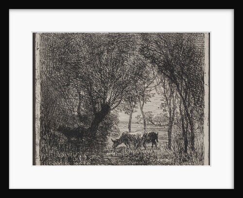 Cows in the Woods, original impression 1862, printed in 1921 by Charles François Daubigny