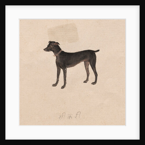 Dog, 1800s by Unknown