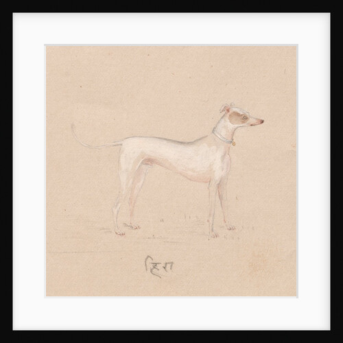 Dog, 1800s by Unknown