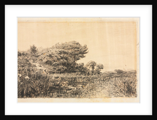 Edge of Marsh at Couronne, 1863 by Félix Ziem