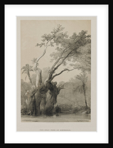 Egypt and Nubia, Volume III: The Holy Tree of Metereah, 1849 by Louis Haghe