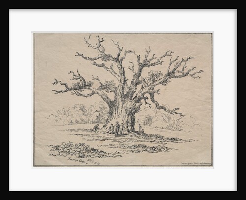 Fairlop Oak, 1811 by D. H. Redman