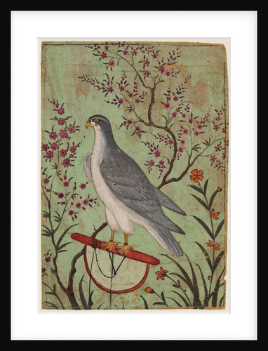 Falcon on a Perch, c. 1610 by Unknown