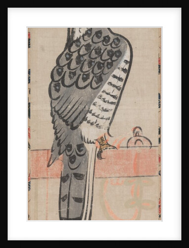 Falcon, 1615-1867 by Unknown