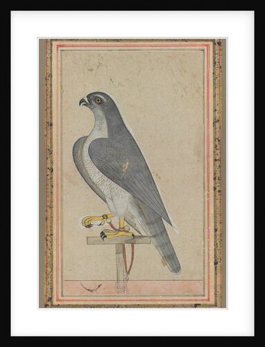 Falcon, c. 1770 by Unknown