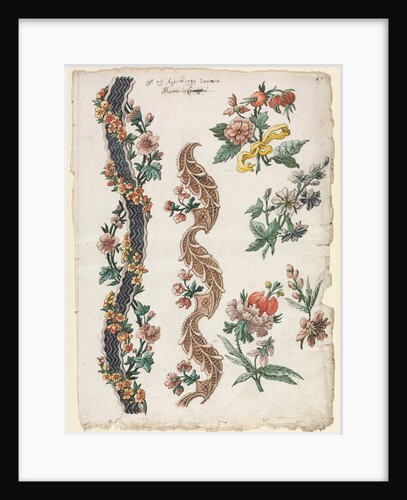 Floral Designs and Floral Bands, 1784 by Giacomo Cavenezia