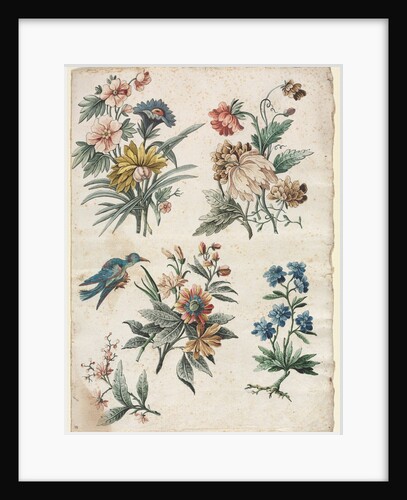 Floral Designs with a Blue Bird, c. 1773/74 by Giacomo Cavenezia