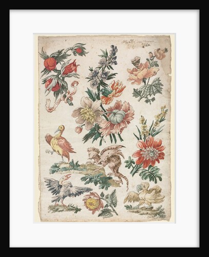 Floral Designs with Birds and Griffon, 1784 by Giacomo Cavenezia