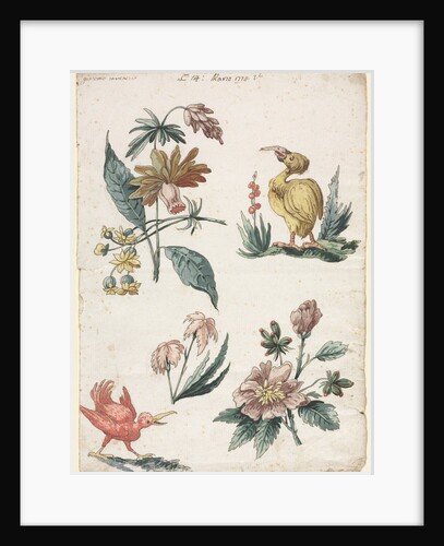 Floral Designs with Two Birds, 1774 by Giacomo Cavenezia