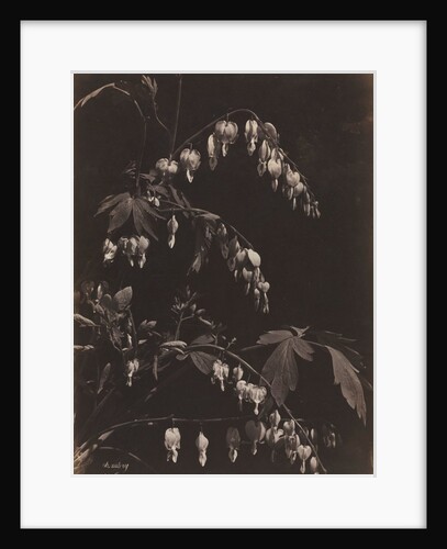 Floral Still Life, c. 1865 by Charles Aubry