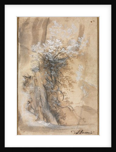 Flowering Bush above an Eroded Bank, 1565-1570 by Federico Barocci