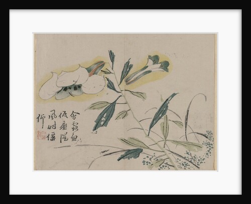 Flowering Lily, 18th Century by Unknown