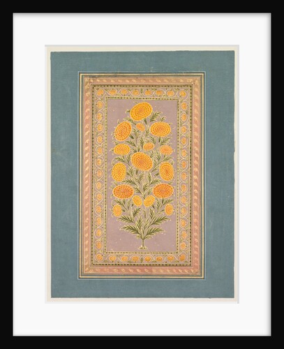 Flowering Marigold, c. 1765 by Hunhar II (style of)