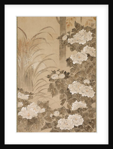 Flowers and Foliage of Autumn, mid 1700s by Tatebayashi Kagei