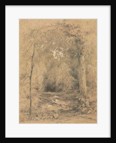 Forest Interior, c. 1870 by John Henry Hill