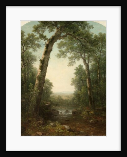 Forest Stream with Vista, 1872 by Asher Brown Durand