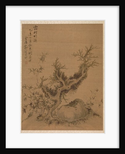 Frosted Branches and Dwarf Bamboo, in the Style of Su Shih, 1775 by Zhai Dakun