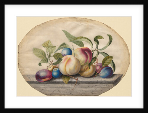 Fruit Arrangement: Peaches and Plumbs on a Slab of Marble, 1742 by Georg Dionysius Ehret