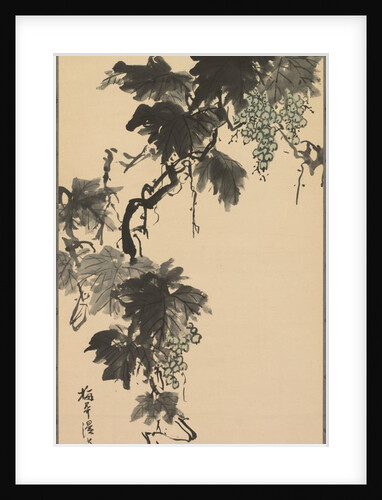 Grapes, 1800s by Baikan Sugai