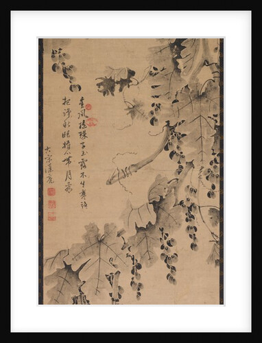 Grapevine, 1700s to 1800s by Unknown