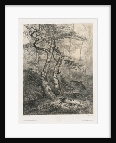 Hare Pursued by a Goshawk, 1858 by Karl Bodmer