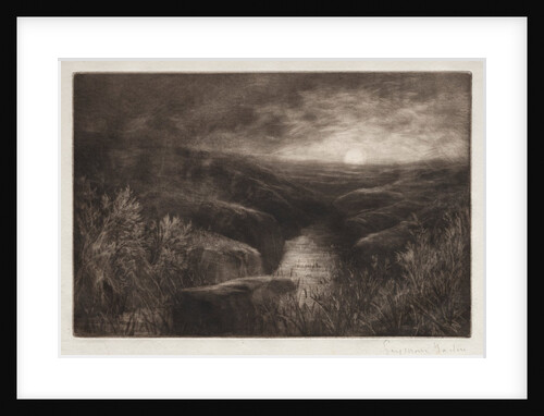 Haunt of the Mosquito by Francis Seymour Haden