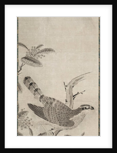 Hawk, mid 1500s by Masayoshi Fujiwara