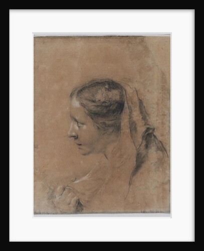Head of a Woman in Profile with a Scarf by Giovanni Battista Piazzetta
