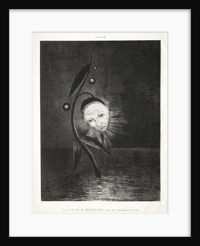 Homage to Goya: The Marsh Flower, a Sad Human Head, 1885 by Odilon Redon