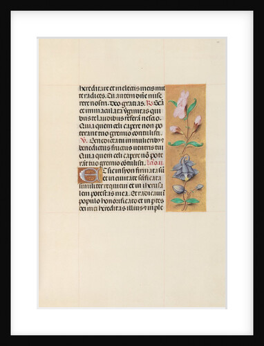 Hours of Queen Isabella the Catholic, Queen of Spain: Fol. 111r, c. 1500 by Master of the First Prayerbook of Maximillian