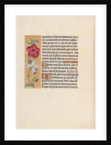 Hours of Queen Isabella the Catholic, Queen of Spain: Fol. 111v, c. 1500 by Master of the First Prayerbook of Maximillian